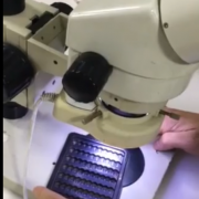 哎呀呀呀呀...這除塵效果滿意嗎？